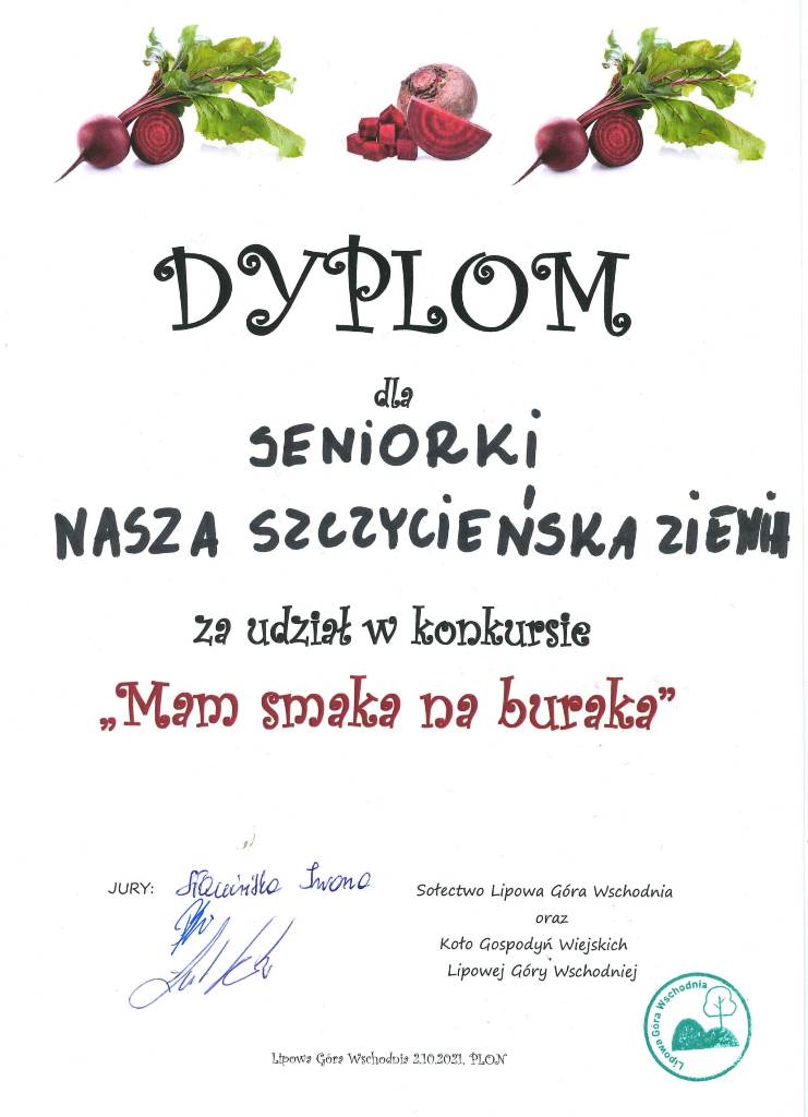 dyplom 2